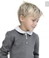 Pin By Annemieke De Man Pieterse On Boys Haircut Hairstyles Little Boy Haircuts Toddler Haircuts Little Boy Hairstyles