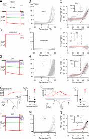 They do not indicate the calibration level of the fixed temperature element or the grade status. Heat Activation Is Intrinsic To The Pore Domain Of Trpv1 Pnas