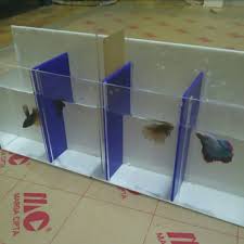 Toples cupang 2 liter paxton / toples akrilik mika 2l. Aquarium Akrilik Lazada Indonesia