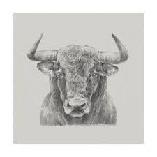 Black And White Bull Canvas Black And White Bull Canvas Art By Ethan Harper Walmart Com In 2020 Art Canvas Art Trademark Fine Art