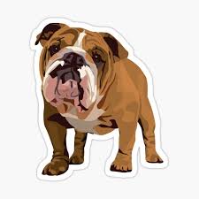 Americanlisted features safe and local classifieds for everything you need! English Bulldog Stickers Redbubble