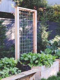 Here's how i trellis my beans. 24 Easy Diy Garden Trellis Ideas Plant Structures A Piece Of Rainbow