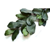For a modern glam feel, opt for silver or white. Magnolia Garland Wayfair