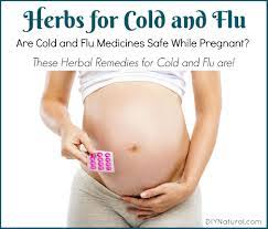 Cold Medicine While Pregnant Try These Safe Cold Flu Herbs Instead