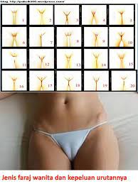 Gambar buah zakar ga betina gigit buah zakar pejantan, ini. Jilat Kemaluan Dalam Islam Mega Porn Pics Free Hot Nude Porn Pic Gallery