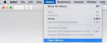 Launch recoverit browser history recovery first. How To Permanently Clear Browsing History On Mac