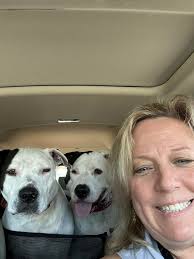 Let's welcome our new members! Brianna Agresta, Tara Michelle, Jae  Williams, Jeannette Cano Monnerjahn, Dawn Harrison, Desiree Hanson, Kathy  DiCostanzo, Jeanette Matthews, Elesha Silverest-Winebrenner, Robin  Codding-Vernetti, Hadley Parton, Stacy Hart ...