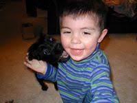 Holiday Quickies 3 by Brynn Hale