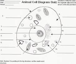 This may be useful as a printable poster for the classroom, or as part of a. Printable Animal Cell Diagram Labeled Unlabeled And Blank Cute766
