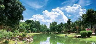 These products on alibaba.com are exceptionally adaptable with high accuracy. Phase 15 Ambang Botanic Bandar Botanic By Harum Intisari Sdn Bhd Holistic Planning Key To Success Edgeprop My