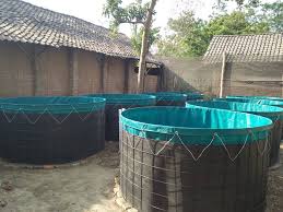 Kolam terpal karet bulat hari ini ada pesanan lagi kirim lagi ke daerah jombang pacol gowang. Sebagai Pengolah Limbah Budidaya Lele Itu Sendiri Dan Perlu Diketahui Juga Bahwa System Ini Sangat Cocok Diterapkan Dengan Media Kolam Terpal Kolam Kolam Ikan