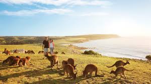 Resultado de imagen para Coffs costa australia