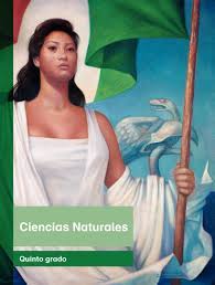 Libro de ciencias naturales de 5 grado contestado. Calameo Primaria Quinto Grado Ciencias Naturales Libro De Texto