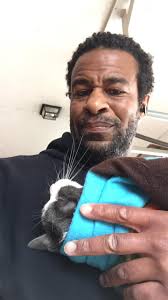 Dr Frank, Feline Geriatric Expert