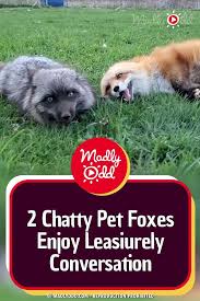 We did not find results for: Pin On Cute Animals