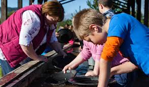 12 physical activities for toddlers and preschoolers. Red Deer Centre And Activities Highland Safaris