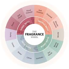 Your Guide To The Fragrance Wheel Fragrancex Com