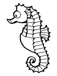 Zowel makkelijke kleurplaten voor kinderen, als moeilijke vissen kleurplaten voor volwassenen. Zeepaardje Kleurplaat Fish Coloring Page Shark Coloring Pages Animal Coloring Pages