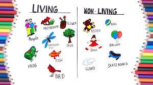 How To Draw Living And Non Living For Kids Birthday Calendar Classroom Drawing For Kids Worksheets For Class 1