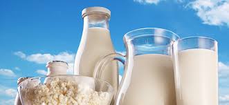 Recipes to Celebrate National Dairy Month | Atkins