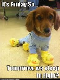 Weare this close to n being friday! 480 Happy Friday Ideas Happy Friday Its Friday Quotes Friday