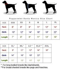 dog clothes zack and zoey dog clothes size chart