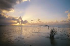 33 677 tykkäystä · 8 puhuu tästä. Das Wattenmeer Nabu