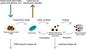 Chapter 12 food, soil, and pest management— presentation transcript 27 soil formation and generalized soil profile figure 12.a: Frontiers Dynamic Stability Of Soil Carbon Reassessing The Permanence Of Soil Carbon Sequestration Environmental Science