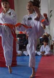 61 countries will be represented plus the refugee olympic team as a further endorsement of taekwondo's universality. Dsc06224 Instituto Nacional Taekwondo Mexico Flickr