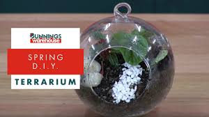 How To Make A Terrarium Diy At Bunnings Youtube