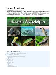 Check spelling or type a new query. Hewan Ovovivipar
