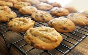 Skinnymixer S Macachip Cookies Recipe Skinnymixers Lactation Cookies Recipe Thermomix Recipes