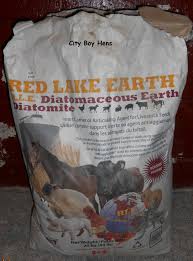 Velg blant mange lignende scener. Making A Dust Bath For Your Chickens City Boy Hens