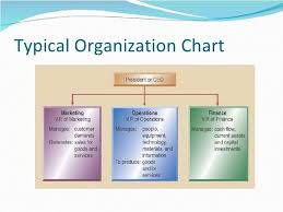 11 Typical Organization Chart Operations Management