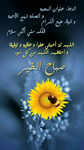 pin by alaa sherief on صباحيات و مسائيات good morning arabic good morning wishes good morning good night