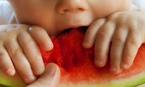Erst im nächsten schritt wird fisch und fleisch mit gefüttert. Ab Wann Durfen Babys Und Kleinkinder Wassermelone Essen