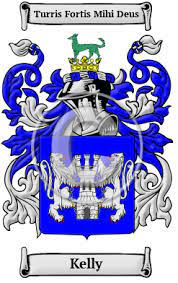 I know that i can change it at any time (at a cost) but i'd like to try and get it right the first time. Kelly Name Meaning Family History Family Crest Coats Of Arms