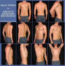 Scegli fra un'ampia gamma di scene simili. Male Torso Anatomy Reference By Grinderblind On Deviantart Male Torso Anatomy Anatomy Reference Man Anatomy