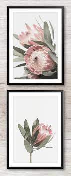 Printable Protea Wall Art Instant Download Wall Art Australian Native Pink Flower Photograph Botanical Poster Protea Art Flower Prints Art Floral Wall Art