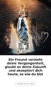 Freunde Sind Immer Da Video In 2020 Spruch Des Tages Lustig Fokus Zitate Nachdenkliche Spruche