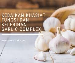 Bawang putih dapat mencegah kanker. Kebaikan Khasiat Fungsi Dan Kelebihan Garlic Complex Shaklee Umi Nazrah
