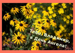 Кебичем, оставив позади главу имевшей тогда большую силу партии бнф з. Den Angela Vladimira Pozdravleniya Otkrytki Kartinki Na Imeniny Vladimira