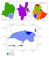 Image result for Vernonia karaguensis
