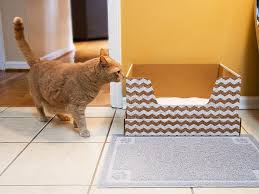 While most cat subscription boxes include toys, kitnipbox gets high marks for the quality and variation of the toys in every monthly box. 18 Best Cat Toys And Supplies 2021 Scratchers Window Perches Etc Wired