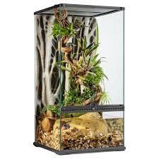Image result for Terrarium Cling Background