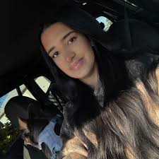 Who can install an 8 camera security system?