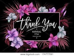 Flowers thank you you for thank you flowers for flowers thank flowers thank for decoration flower decorative background decor ornament ornate template element floral symbol calligraphy card text ornamental elegant spring nature calligraphic beautiful vintage message artistic banner elegance plant. Summer Pink Tropical Vector Photo Free Trial Bigstock