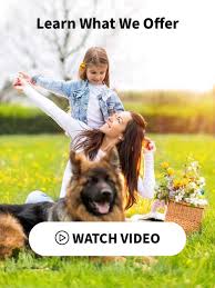 From our first meeting with toni, we knew we were in good hands. Specialty Dog Training Puppy Dog Training San Diego Ca