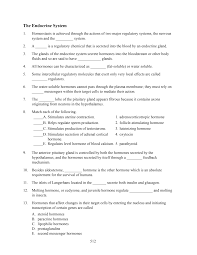 The Endocrine System