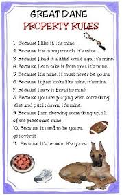 Great Dane Property Rules Magnet Very Funny 4 79 Via Etsy Boxer Dogs Funny Jack Russell Black Labs Dogs